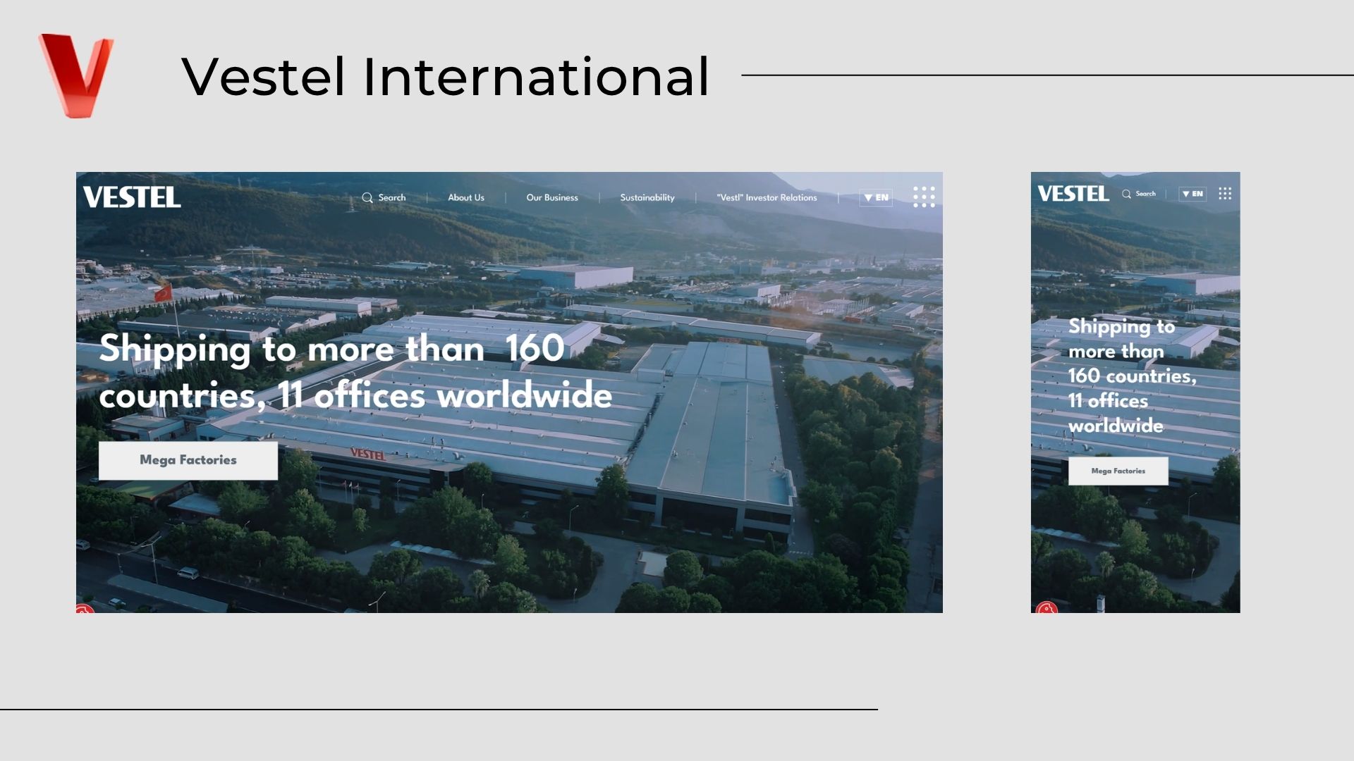 Vestel International